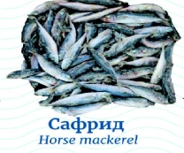 Сафрид для морской рыбалки /замороженный/ ~ 1 кг/упаковка